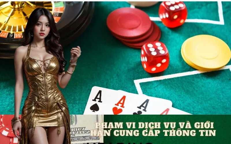 Phạm Vi Dịch Vụ và Giới Hạn Cung Cấp Thông Tin
