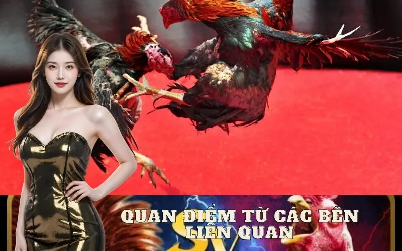 Quan Điểm Từ Các Bên Liên Quan