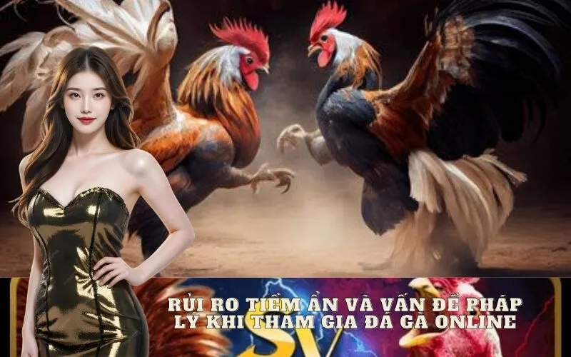 Rủi Ro Tiềm Ẩn và Vấn Đề Pháp Lý Khi Tham Gia Đá Gà Online